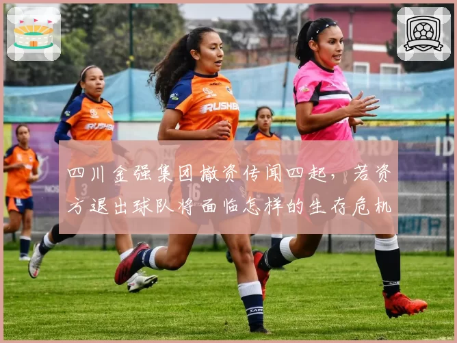 四川金强集团撤资传闻四起,若资方退出球队将面临怎样的生存危机?