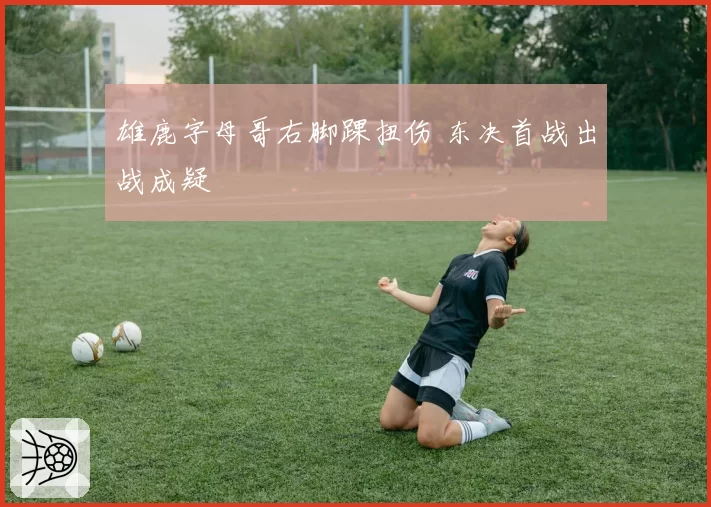 雄鹿字母哥右脚踝扭伤 东决首战出战成疑